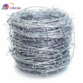 Hot Sale Galvanized Barbed Wire Barbed Wire